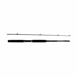 Surecatch Bigfield Spinning Rod 9ft 2 Piece