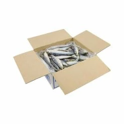 Tweed Bait IQF WA Pilchards 4kg