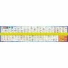 AFN Maxi Fish Ruler