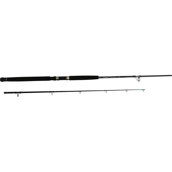 Shimano Triton Spinning Rod