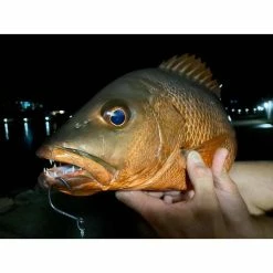 BKK Mutsu Circle Light Hook