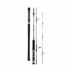 Daiwa 20 TD Saltwater Spinning Rod