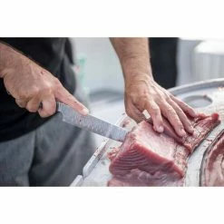 Gerber Salt Rx Sengyo Fillet Knife 9.5"