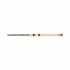 Shimano Raider Spinning Rod