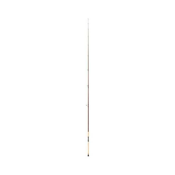Shimano Raider Surf Rod