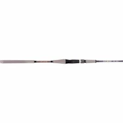 NS Black Hole Explorer Overhead Jigging Rod