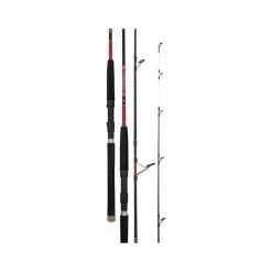Daiwa Beefstick Z Spinning Rod