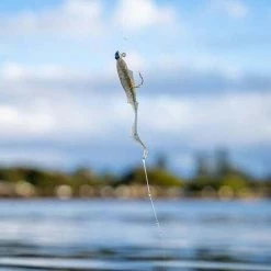 Berkley Gulp! Slime Scent